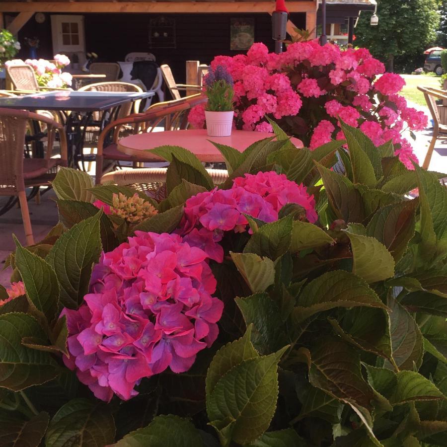 Boerderijcamping Plantlust Веере Екстериор снимка